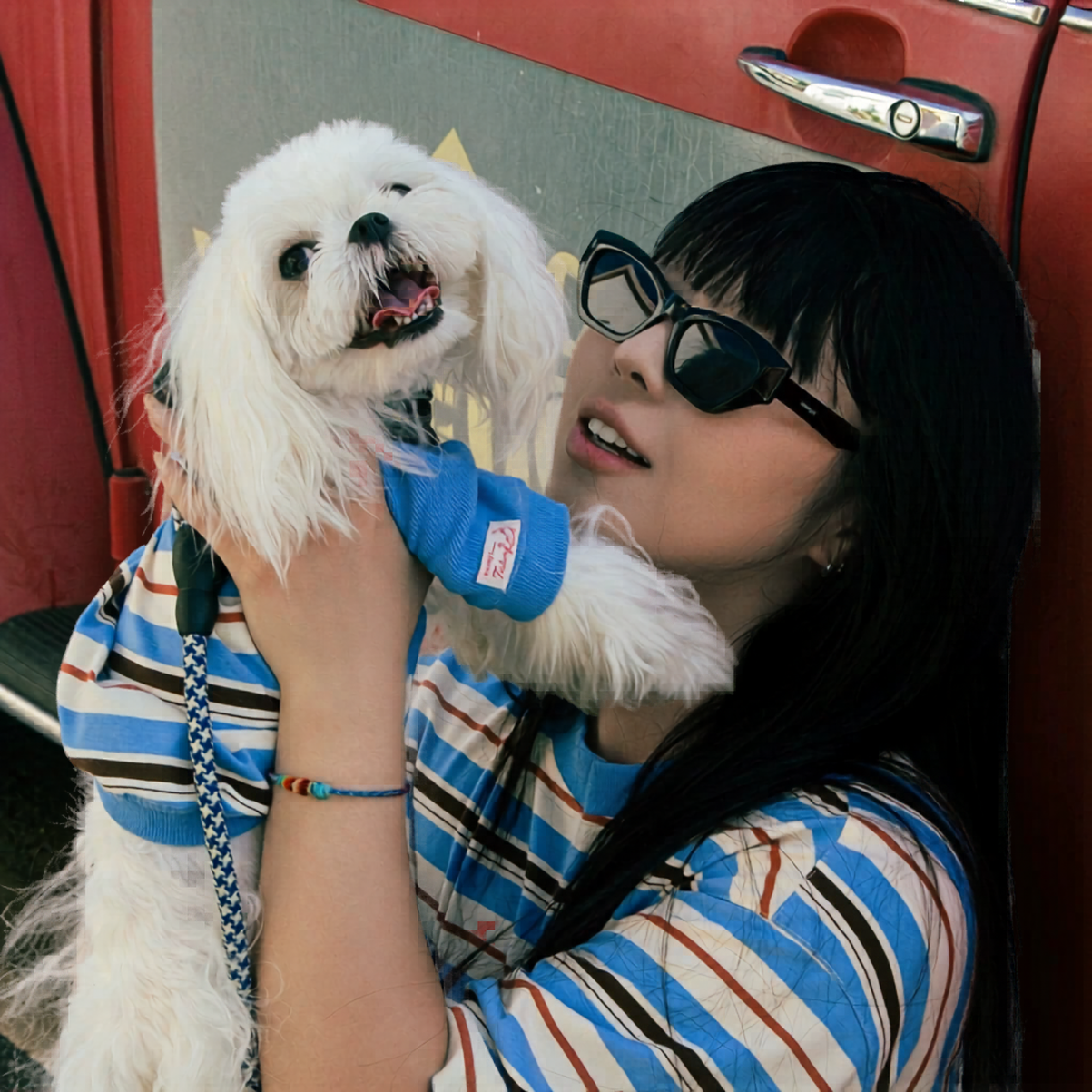 pet