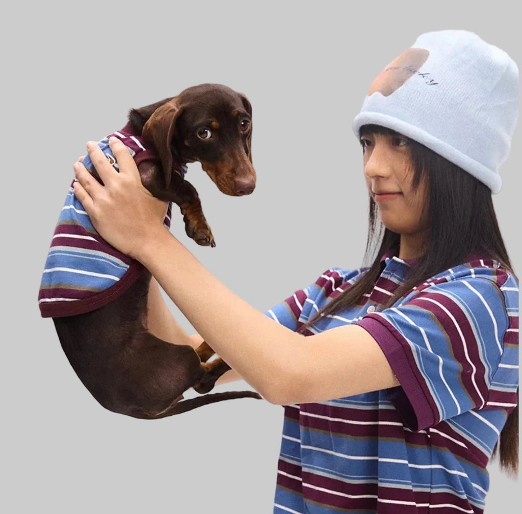 mellow border wear