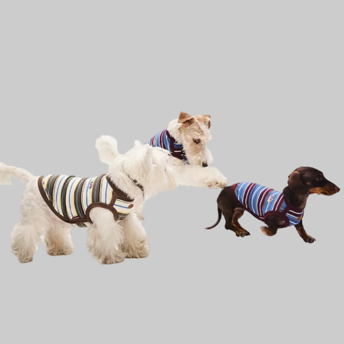 mellow border pet wear